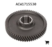 AGCO ACW1715530 Косозубая шестерня