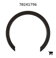 AGCO 70241796 Кольцо