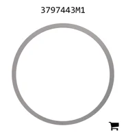 AGCO 3797443M1 Регулировочная шайба