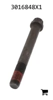 AGCO 3016848X1 Винт