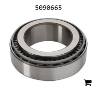 AGCO 5090665 Подшипниковый узел