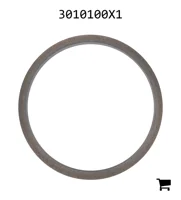 AGCO 3010100X1 Уплотнительное кольцо поршня сухого сцепления