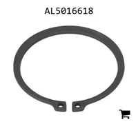 AGCO AL5016618 Кольцо