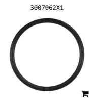AGCO 3007062X1 Уплотнительное кольцо