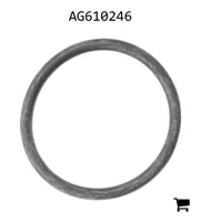 AGCO AG610246 Уплотнительное кольцо