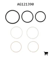 AGCO AG121390 Ремкомплект