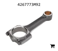 AGCO 4267773M92 Поршень