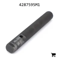 AGCO 4287595M1 Палец вилки