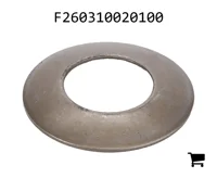 AGCO F260310020100 Упорная шайба