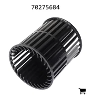 AGCO 70275684 Сепаратор