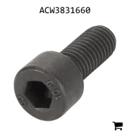 AGCO ACW3831660 Винт с цилиндрической головкой и шестигранным углублением