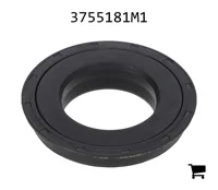 AGCO 3755181M1 Уплотнение
