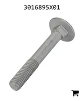 AGCO 3016895X01 Болт каретный с круглой головкой и квадратным подголовком