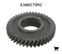 AGCO 4300579M2 Шестерня