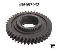 AGCO 4300579M2 Шестерня