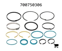 AGCO 700750306 Комплект сальников