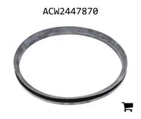 AGCO ACW2447870 Пыльник