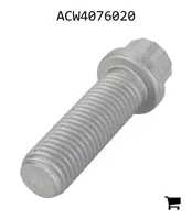 AGCO ACW4076020 Винт с 12-гранной головкой с фланцем