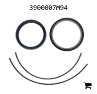 AGCO 3900007M94 Комплект уплотнений
