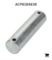 AGCO ACP0384830 Вал