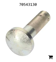 AGCO 70543130 Болт