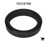 AGCO 70258700 Уплотнение