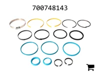 AGCO 700748143 Ремкомплект