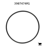 AGCO 3907474M1 Уплотнительное кольцо масляного радиатора