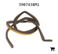 AGCO 3907438M1 Пена