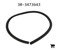 AGCO 30-3473643 Молдинг