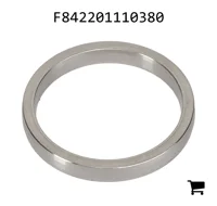 AGCO F842201110380 Уплотнение