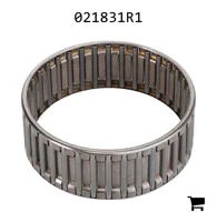 AGCO 021831R1 Игольчатый подшипник трансмиссии