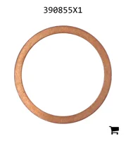 AGCO 390855X1 Уплотнительное кольцо