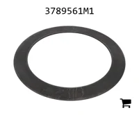 AGCO 3789561M1 Шайба