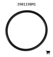AGCO 3901198M1 Уплотнительное кольцо
