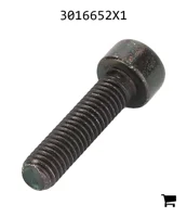 AGCO 3016652X1 Винт с цилиндрической головкой и шестигранным углублением