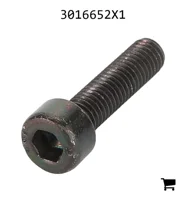 AGCO 3016652X1 Винт с цилиндрической головкой и шестигранным углублением