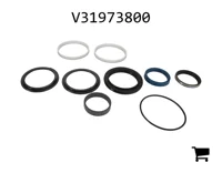 AGCO V31973800 Комплект уплотнений