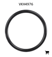 AGCO VKH4976 Уплотнительное кольцо топливного бака