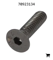 AGCO 70923134 Винт