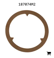 AGCO 187074M2 Шайба
