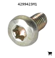AGCO 4299423M1 Саморез
