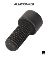 AGCO ACW0996420 Установочный винт с шестигранной головкой