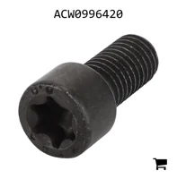 AGCO ACW0996420 Установочный винт с шестигранной головкой