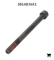 AGCO 3014836X1 Винт с цилиндрической головкой и шестигранным углублением