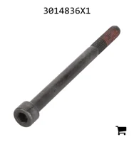 AGCO 3014836X1 Винт с цилиндрической головкой и шестигранным углублением