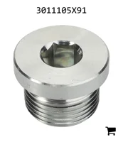 AGCO 3011105X91 Заглушка