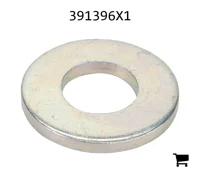 AGCO 391396X1 Плоская шайба