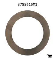 AGCO 3785615M1 Регулировочная шайба