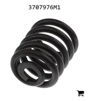 AGCO 3707976M1 Пружина